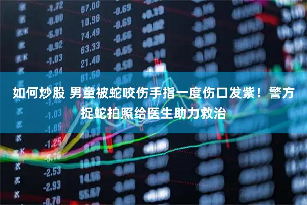 如何炒股 男童被蛇咬伤手指一度伤口发紫！警方捉蛇拍照给医生助力救治