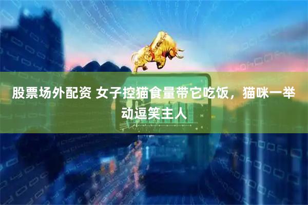 股票场外配资 女子控猫食量带它吃饭，猫咪一举动逗笑主人