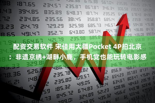 配资交易软件 宋佳用大疆Pocket 4P拍北京：非遗京绣+湖畔小鹿，手机党也能玩转电影感